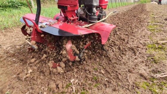65 KG Tilling Machine Τελευταίο μοντέλο για καλλιέργεια μικρού εδάφους με ταχύτητα εργασίας 4KM / H
