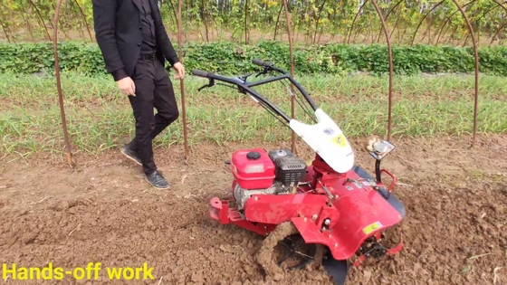 Στενό σώμα Τρίχωμα Ginger Power Tiller Τρίχωμα πλάτος πάνω από 10cm 65 KG βάρος