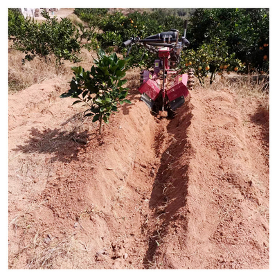 Δυνατός κινητήρας βενζίνης Φυτοκομείο Tiller Weeder για 145 * 62 * 85cm Φυτοκομείο Διαχείριση