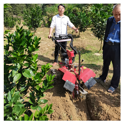 Δυνατός κινητήρας βενζίνης Φυτοκομείο Tiller Weeder για 145 * 62 * 85cm Φυτοκομείο Διαχείριση