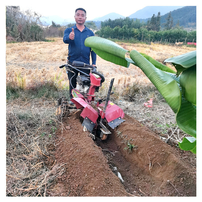 Δυνατός κινητήρας βενζίνης Φυτοκομείο Tiller Weeder για 145 * 62 * 85cm Φυτοκομείο Διαχείριση