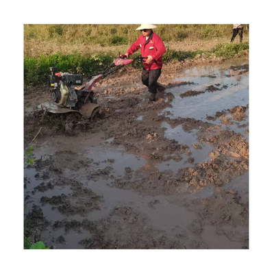 Σχεδιασμός All Gear Transmission Mini Power Tiller Cultivator για το ζιζάνιο και την περιστροφική καλλιέργεια