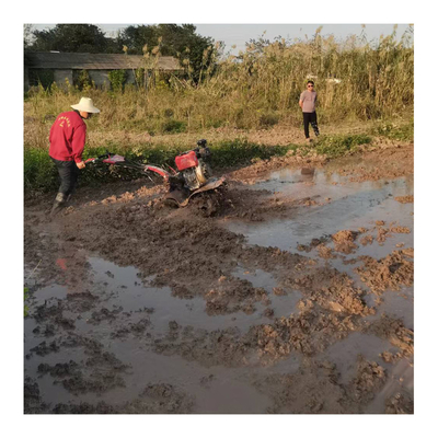 Σχεδιασμός All Gear Transmission Mini Power Tiller Cultivator για το ζιζάνιο και την περιστροφική καλλιέργεια