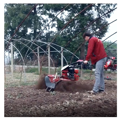 Οικονομικός Μίνι Power Tiller Gear Cultivator 10-40cm πλάτος κατεδάφισης και βενζίνης