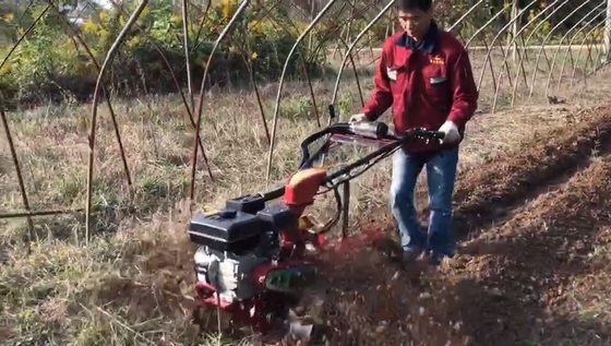Εύκολο Orchard Start χειροκίνητος καλλιεργητής με κινητήρα ντίζελ και μετάδοση κιβωτίων