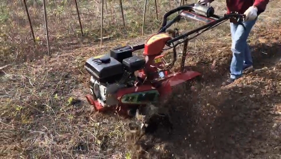 Εύκολο Orchard Start χειροκίνητος καλλιεργητής με κινητήρα ντίζελ και μετάδοση κιβωτίων