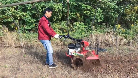7HP μηχανή βενζίνης χειροκίνητο μηχάνημα ζιζανιοποίησης για εφαρμογές ζιζανιοποίησης πλάτους 70cm