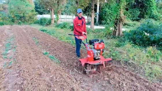 Κήπος 7HP Μίνι Tiller αγροτικό καλλιεργητή ταχύτητα εργασίας 4KM / H για τη μέγιστη παραγωγικότητα