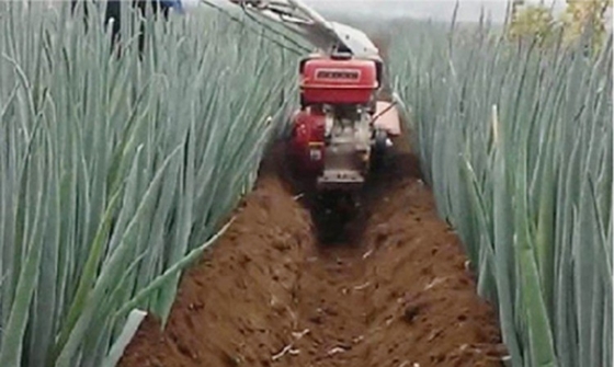 7HP/9HP βυθίζοντας μίνι Tiller για ανθεκτική 150 KG αγροτική καλλιέργεια πολυλειτουργικό