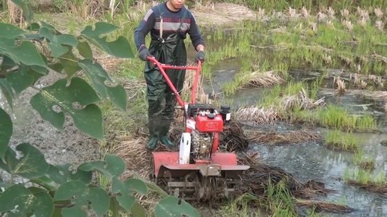 4KW σύντομο μοντέλο 173f κινητήρας ντίζελ για βιώσιμη γεωργία