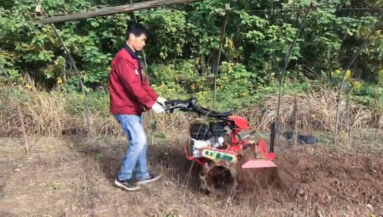 177F Βενζινοκινητήρας τετρακίνητος Μίνι Power Tiller Cultivator για αγρόκτημα και κήπο