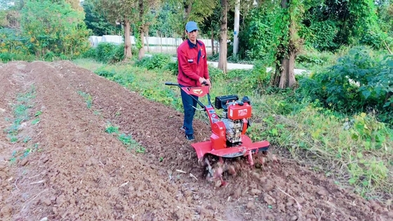 186F Ντίζελ κινητήρας τετρακίνητος Μίνι Power Tiller Cultivator για την αποδοτικότητα των γεωργικών εκμεταλλεύσεων